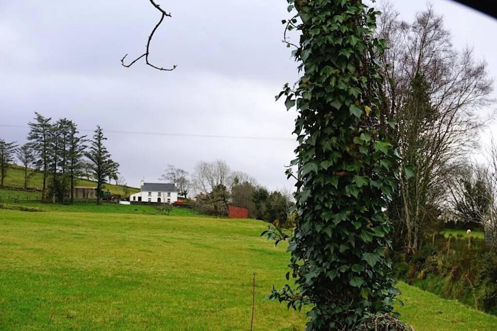 Meenadreen Cottage Donegal Town Exterior foto
